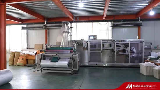 일회용 플라스틱 욕조 SPA 커버 라이너 투명